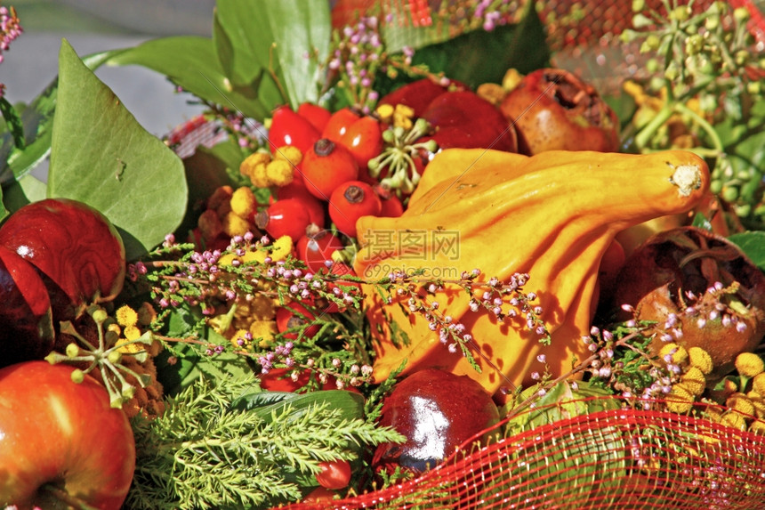 收成蔬菜配有果栗子苹臀部和绿叶的秋天装饰品食物图片