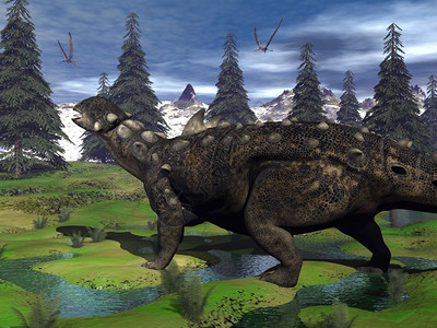 Euoplocephalus恐龙在山中行走白天在fir树和白植物之间行走3D经过大头目风景图片