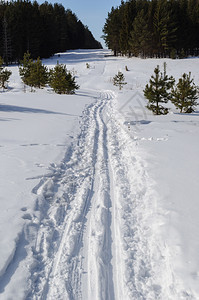 冬季雪景风光图片