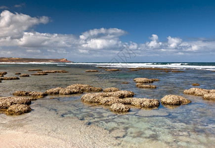 KalbarriAustrali的奇异海滩照片景观崎岖国民图片