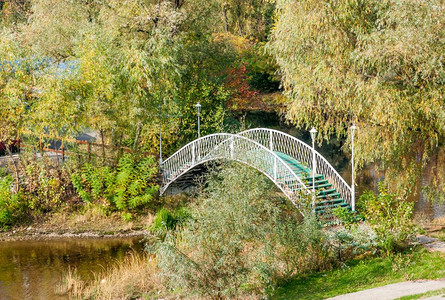 金属在乌克兰基辅公园的一条溪流上座小的弯曲桥自然一种图片