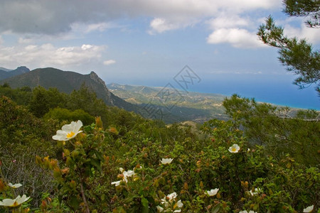 美丽的彭达提洛斯塞浦路Kantara地区Pentadaktylos山的春季风景和海村庄图片