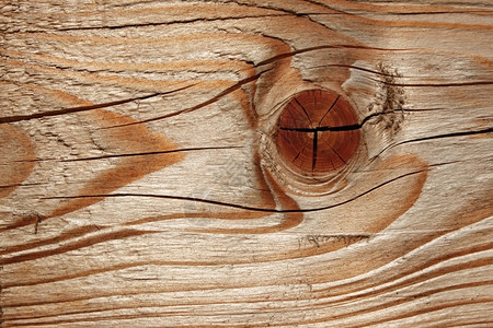 松树新的木制切合板结构宏线条加工图片
