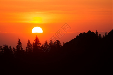 夏天景观太阳盘在树上浮起的地平线升田园诗般的图片