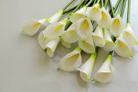 自然美丽白色背景的一帮阿拉伯百合花与黄色雕像一起用粘土制成的白花陶瓷艺术手工制作的品好图片