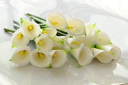 人造的开花白色背景一帮阿拉伯百合花与黄色雕像一起用粘土制成的白花陶瓷艺术手工制作的品植物群图片