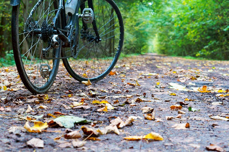 秋天落叶地上的自行车图片