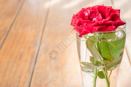 优质的木桌上美丽的红玫瑰股票照片温暖的图片