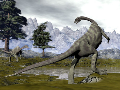 一种走松树旁的两只Anchicolon恐龙山上的一个沼泽3D成为了Anchiaurus恐龙3D形成史前图片