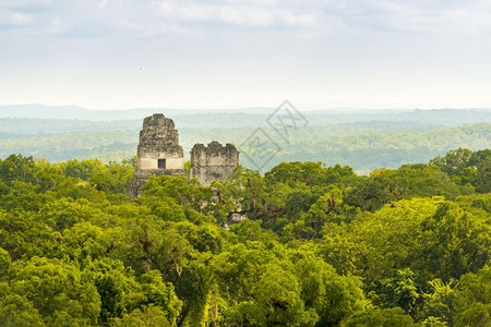 考古学危地马拉的提卡尔Tikal是一个古老的玛雅城市纪念碑图片