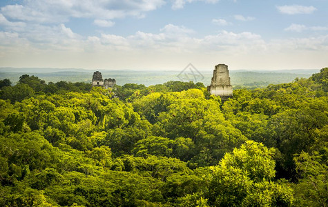 佩滕蒂卡尔历史危地马拉的提卡尔Tikal是一个古老的玛雅城市图片