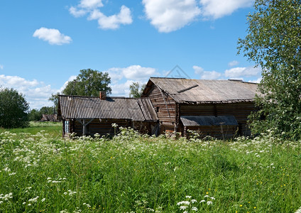 俄罗斯北KenozeryeArkhanghelsk地区树木村庄肯诺泽耶图片