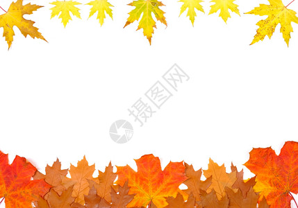多彩秋叶框架背景图片
