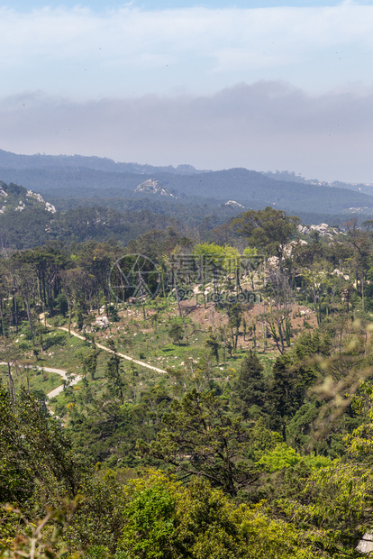 葡萄牙辛特拉的Pena自然林公园带有树木和石块地标葡萄牙语旅行图片