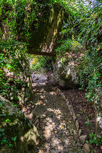 棕色的绿里斯本葡萄牙辛特拉的Pena自然林公园带有树木和石块图片