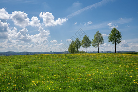 全景风德国伯吉斯州BergischesLand德国春季带云和蓝天空的大片草地景观莱茵威斯特法伦图片