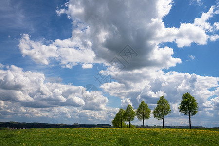 非城市贝尔吉什德国伯斯州BergischesLand德国春季带云和蓝天空的大片草地景观路德维希图片