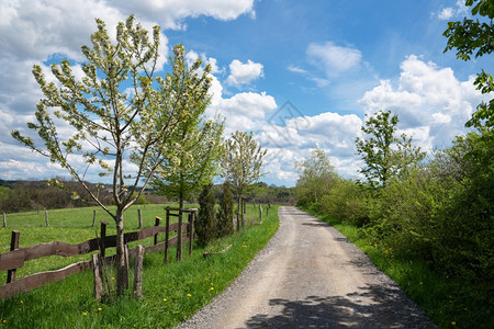 非城市生态系统旅游德国伯吉斯州BergischesLand德国春季带云和蓝天空的大片草地景观图片