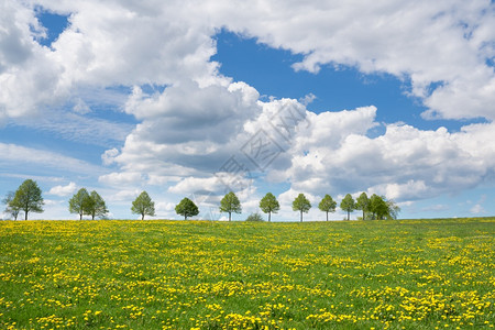 德国伯吉斯州BergischesLand德国春季带云和蓝天空的大片草地景观目的旅行户外图片