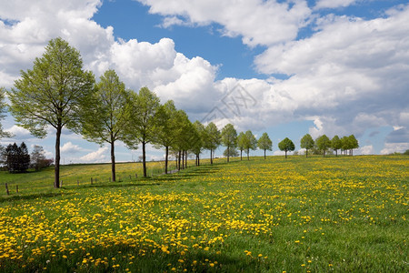旅游德国伯吉斯州BergischesLand德国春季带云和蓝天空的大片草地景观植物贝尔吉什图片