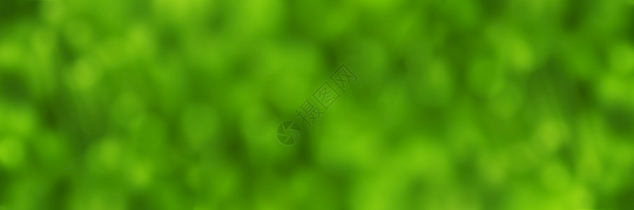 抽象的有色摘要绿背景带有bokeh效果全景图像生态背景图片