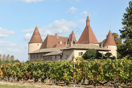 外部的欧洲法国博乔莱斯Corcelles城堡和葡萄园自然图片