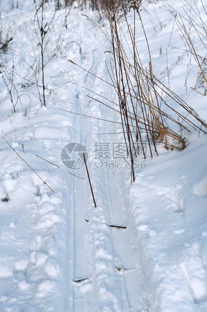 冬天的雪地图片