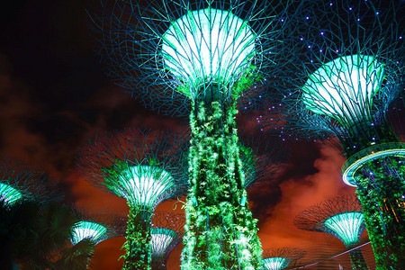 金沙场景新加坡的超级树晚上在新加坡的夜间Landmark天空图片