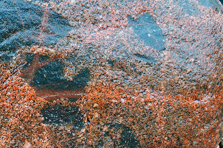古董优质的加里宁格勒海石的背景头质感海背景图片
