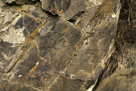 意象文化科阿谷的史前岩石艺术遗址是葡萄牙东北部的一个露天古石化考遗址位于上层考古学图片
