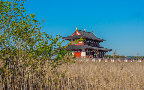 日本宗教祭祀建筑图片