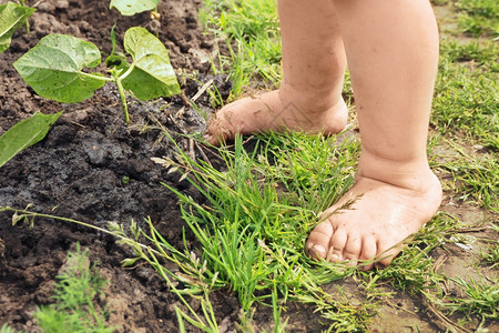 污垢植物手指草地上一个孩子的赤脚湿地倒在上花园里吃豆子图片