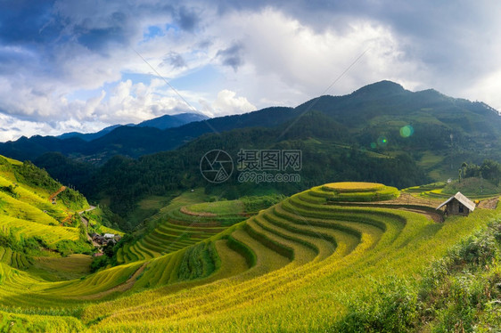 地球亩植物越南YenBaiMuCangChai梯田上的稻越南西北部MuChai的稻田准备收割图片