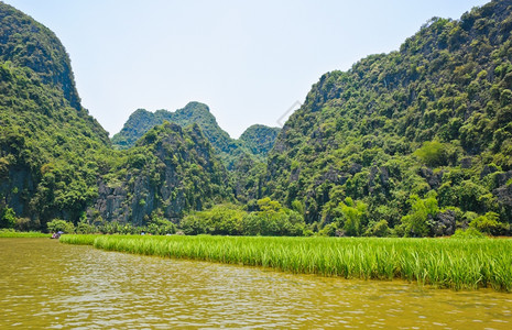 户外越南沿具有石灰岩山脉背景的河流大米田越南形成图片