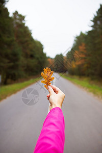 秋天一种放松拿着黄叶的女孩站在马路上女孩拿着黄叶站在马路上图片