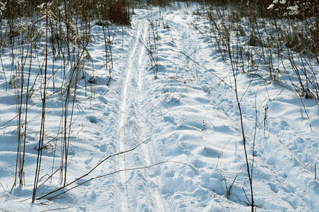 冬季雪景风光图片