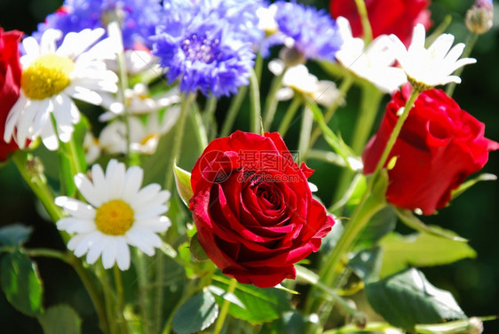 花的朵象征关注一束夏花中的红玫瑰图片