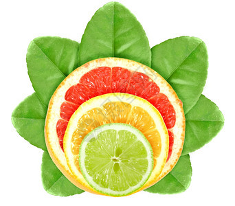 热带简单绿叶上的一套交叉柑橘水果在白色背景上孤立的近距离摄影棚作品甜的图片