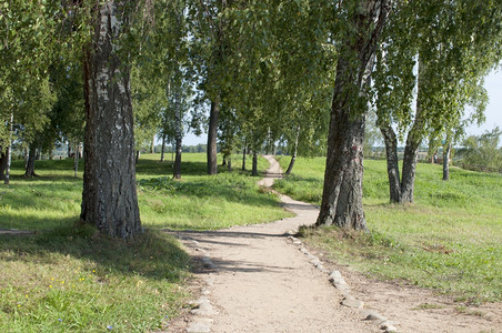 RussiaParkPles公园圆环的脚足路径自然胡同夏天图片