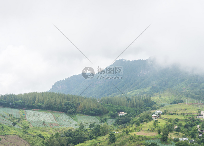 风景优美阴霾清晨有雾的高山森林图片