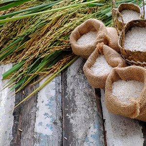 矢车菊近距离的稻谷和木本底种黄米和一篮子谷物中的大米食安全图片