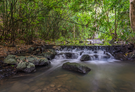 旅行泰国竹林的SamLan瀑布植物美丽的图片