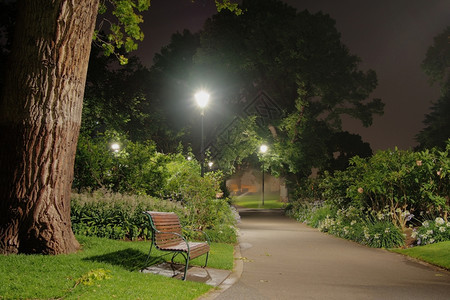 晚上在公园的木林长凳路灯城市的图片