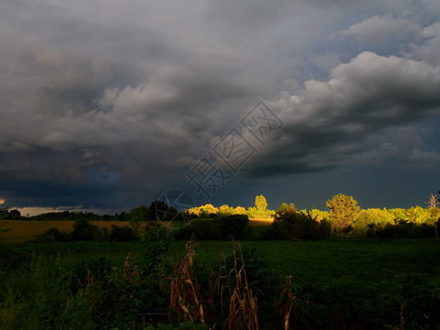天空森林泰国带暴雨云的玉米田图片