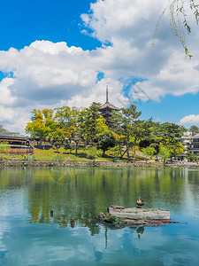 亚洲与日本奈拉Kofukukuji寺五所古塔的萨拉瓦庞德日本人历史图片