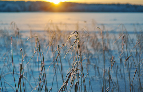 俄罗斯寒冬美丽的圣诞风景雪在夕阳下落浅地深处仙境圣诞节图片