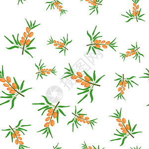 叶子无缝的茶海牛角有无缝板的树枝样板矢量插图平式食品甜点医药海马松无密封板插图平式图片