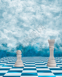 环境草皮树木云背景下的国际象棋图片