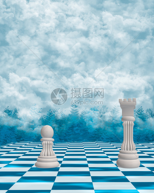 环境草皮树木云背景下的国际象棋图片