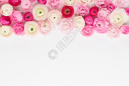 白色背景的花朵在情人节贺卡上开着彩色鲜花周年纪念日礼物颜色图片